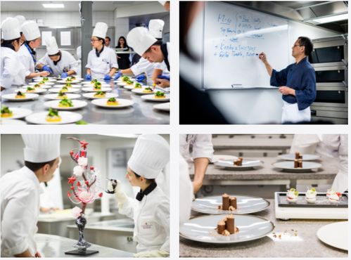學(xué)西餐也可以出國(guó)留學(xué),王森教育集團(tuán)帶您融入行業(yè)高端圈層
